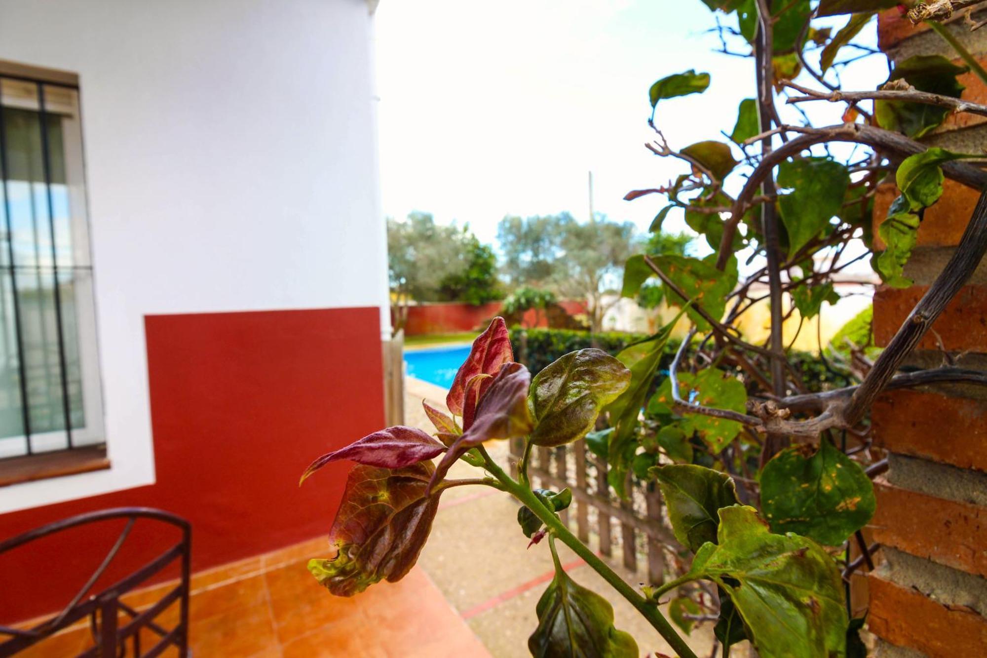 Los Candiles Conil De La Frontera Ngoại thất bức ảnh