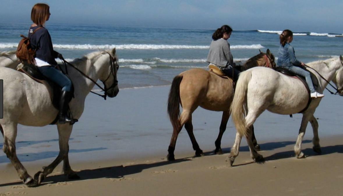 Los Candiles Conil De La Frontera Ngoại thất bức ảnh